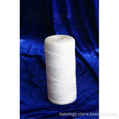 Big Blue String Wound Filter Cartridge (TTW)